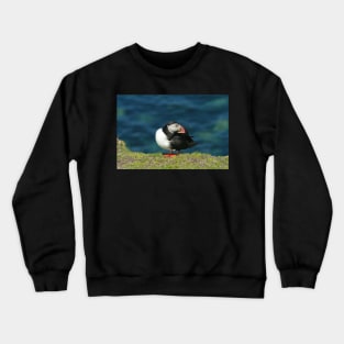 Posing puffin Crewneck Sweatshirt